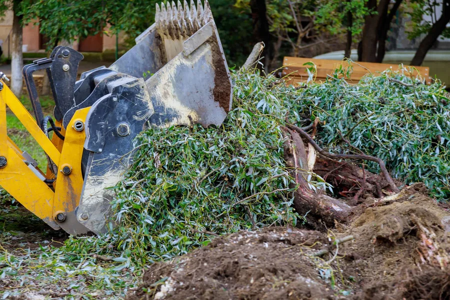 Clearing Lands